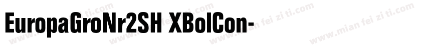 EuropaGroNr2SH XBolCon字体转换
